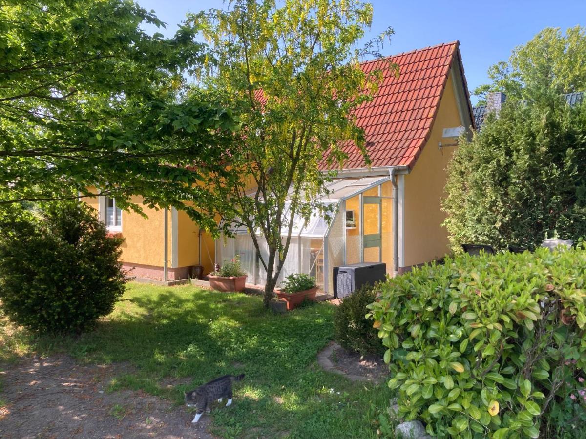 Ferienhaus -Villa Huehnerstall- Hessenburg Extérieur photo